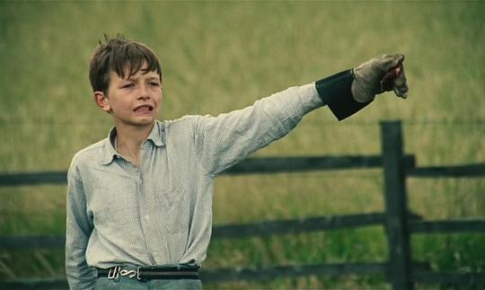 大卫·布拉德利 David Bradley照片