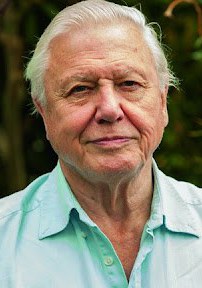 大卫·爱登堡 David Attenborough照片