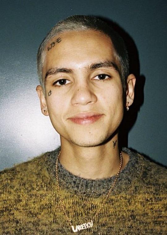 多米尼克·菲克 Dominic Fike照片