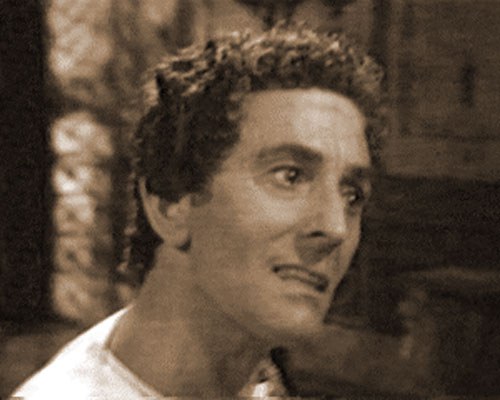 尼古拉斯·阿米尔 Nicolas Amer照片