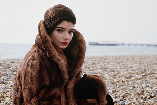 劳拉·圣吉亚科莫 Laura San Giacomo照片