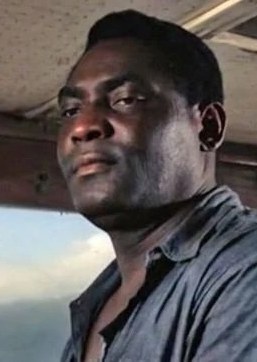 罗伊·斯图尔特 Roy Stewart照片