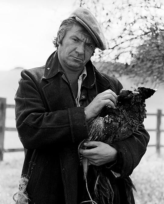 迈克尔·埃尔菲克 Michael Elphick照片