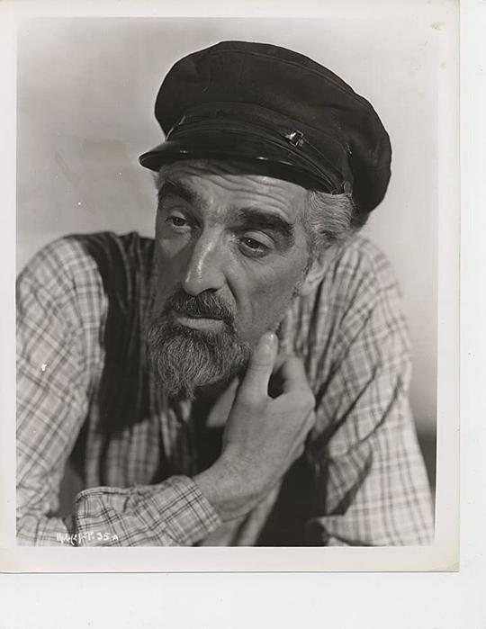 诺埃尔·珀塞尔 Noel Purcell照片