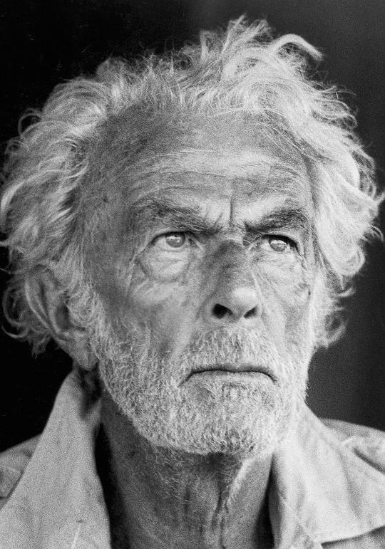 弗里德里希·冯·莱德布 Friedrich von Ledebur照片