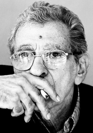 尤瑟夫·夏因 Youssef Chahine照片