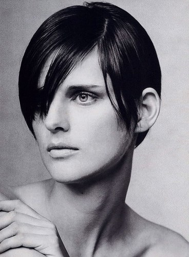 史蒂娜·坦娜特 Stella Tennant照片