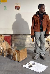 布隆丹·米格尔 Blondin Miguel照片