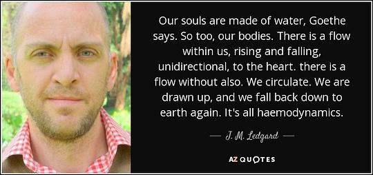 J·M·莱贾德 J.M. Ledgard照片