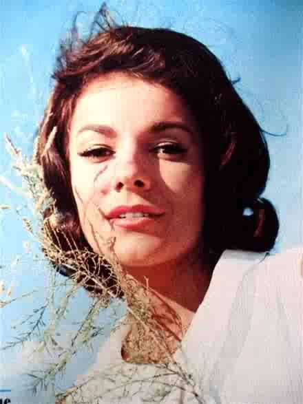 伊芙琳·丹德丽 Évelyne Dandry照片