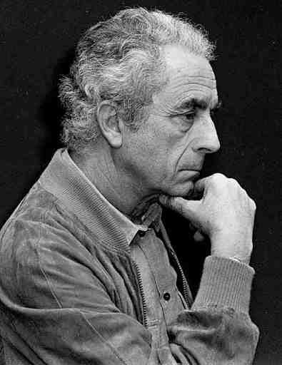 米开朗基罗·安东尼奥尼 Michelangelo Antonioni照片