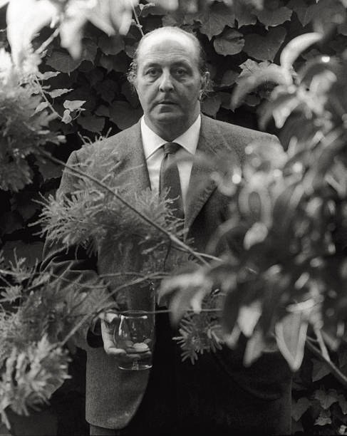 圭多·阿尔贝蒂 Guido Alberti照片