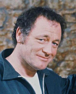 米歇尔·福廷 Michel Fortin照片