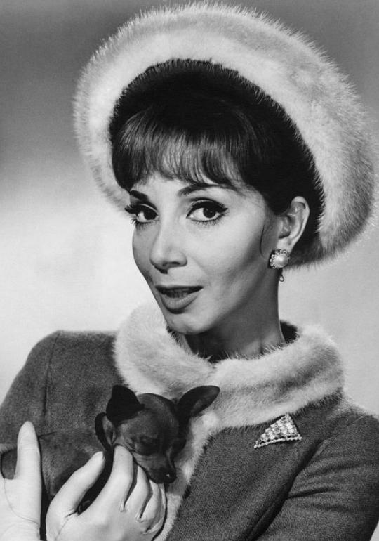 安德丽·帕里西 Andréa Parisy照片