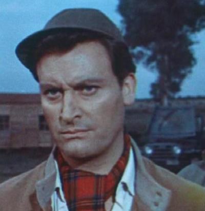 南多·安卓利尼 Nando Angelini照片